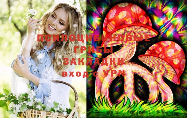 кокс Арсеньев