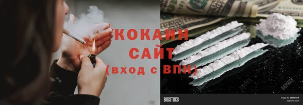 кокс Арсеньев