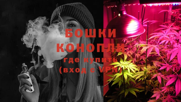 кокс Арсеньев