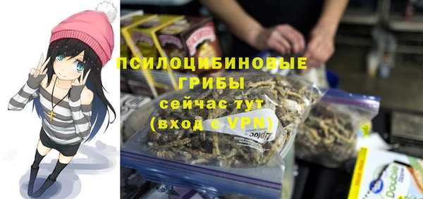 мет Армянск